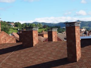 Chimney Sweep