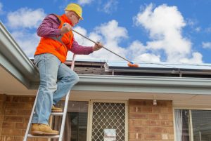 Roof Cleaning