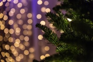 Holiday light Installers