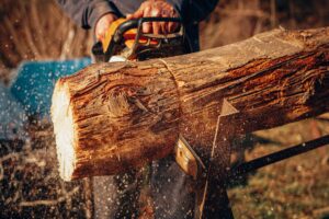 tree surgeon Woodbridge Suffolk